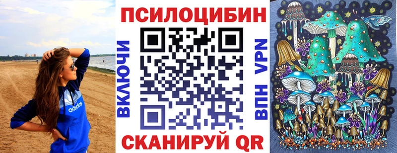 Купить  Калининец  Галлюциногенные грибы GOLDEN TEACHER 