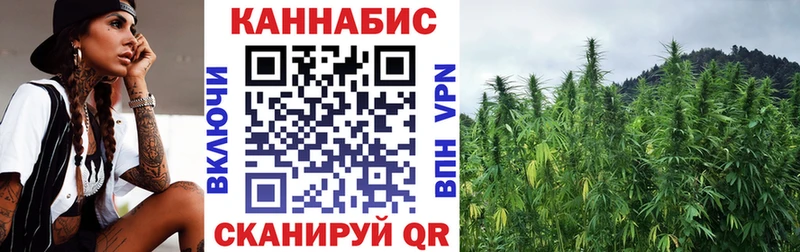 Купить закладки  Калининец  МАРИХУАНА SATIVA & INDICA 